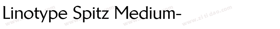 Linotype Spitz Medium字体转换